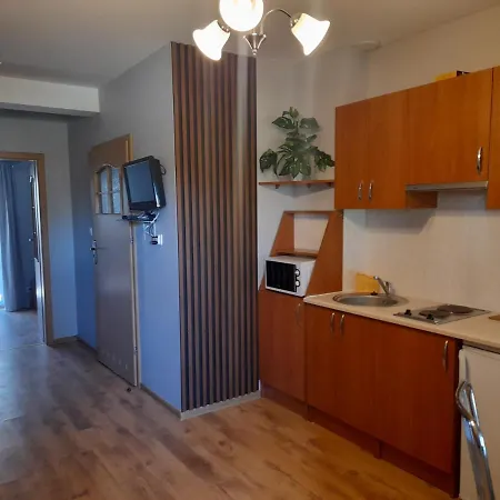 Apartment Apartament Pod Debami Rowy (Pomerania)