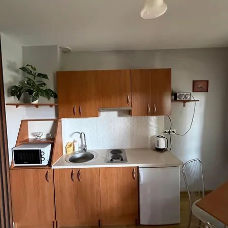 Apartament Pod Debami Apartment