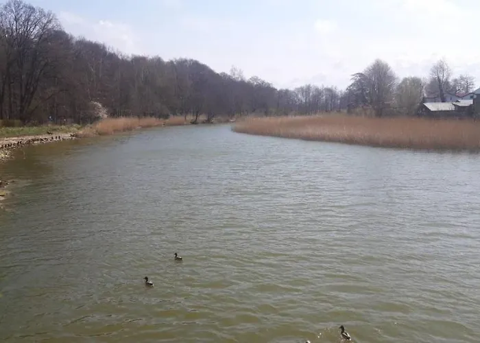 Daire Pod Debami Rowy (Pomerania)