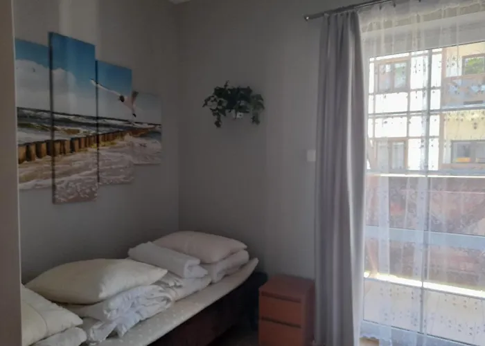 Pod Debami Rowy (Pomerania)